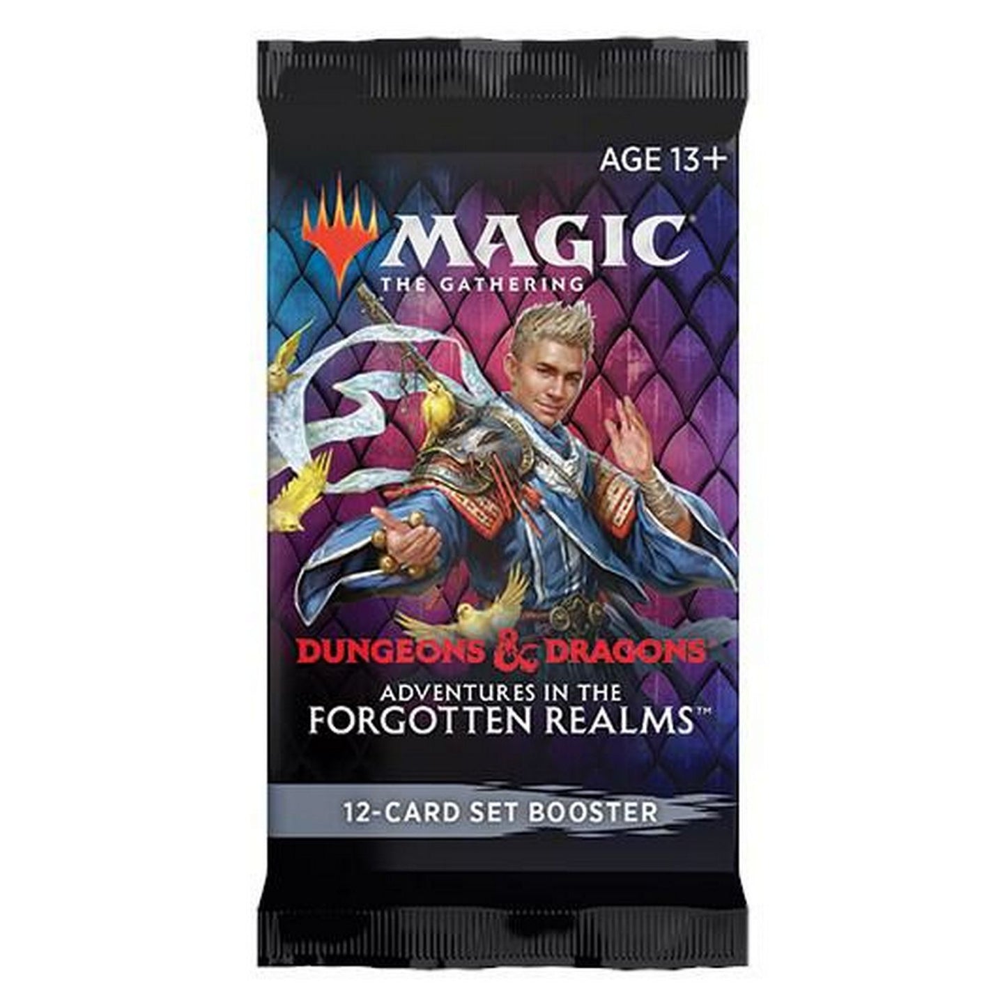 Magic the Gathering: Adventures In The Forgotten Realms Set Booster Pack