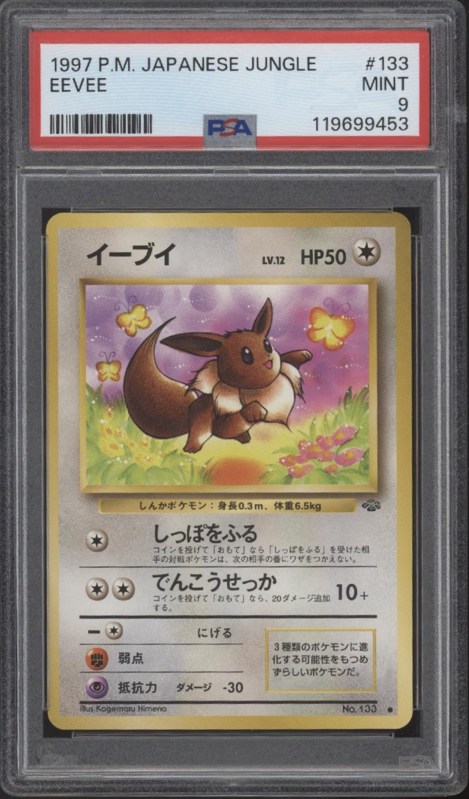 Eevee Pokemon Jungle Japanese #133 PSA 9