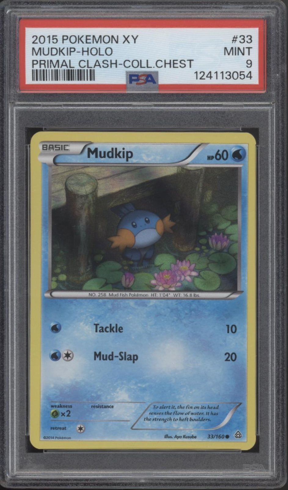Mudkip Pokemon Primal Clash Collectors Chest Holo #33 PSA 9