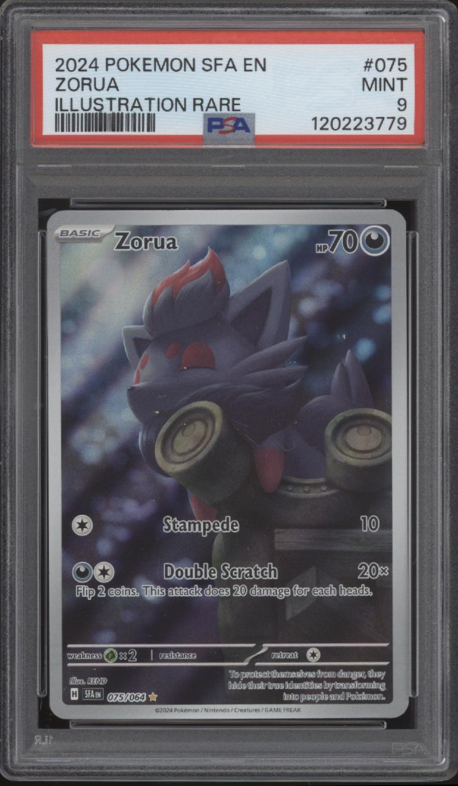 Zorua Pokemon Shrouded Fable Illustration Rare #075 PSA 9