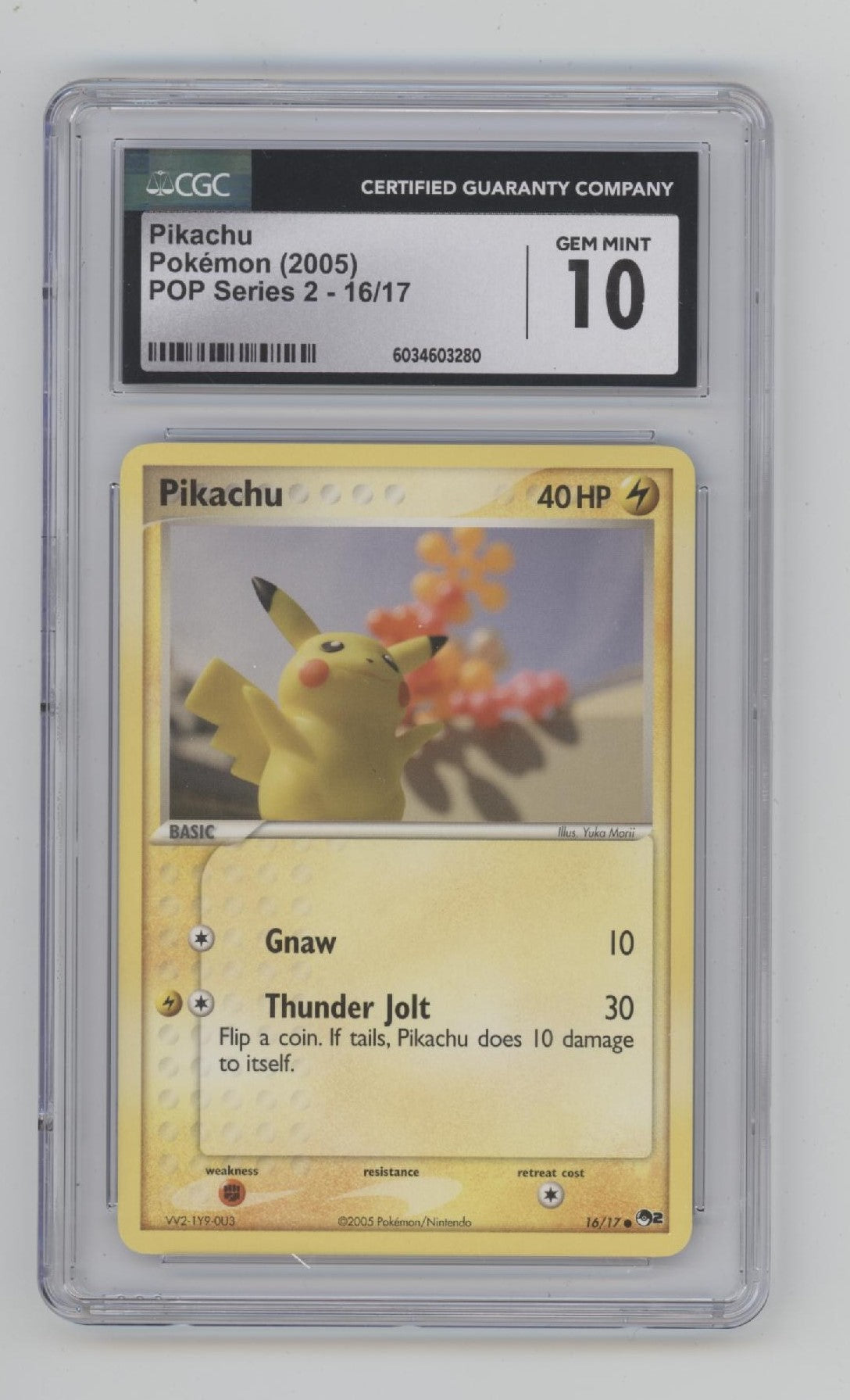 39198629-front.jpg?v=1765316673