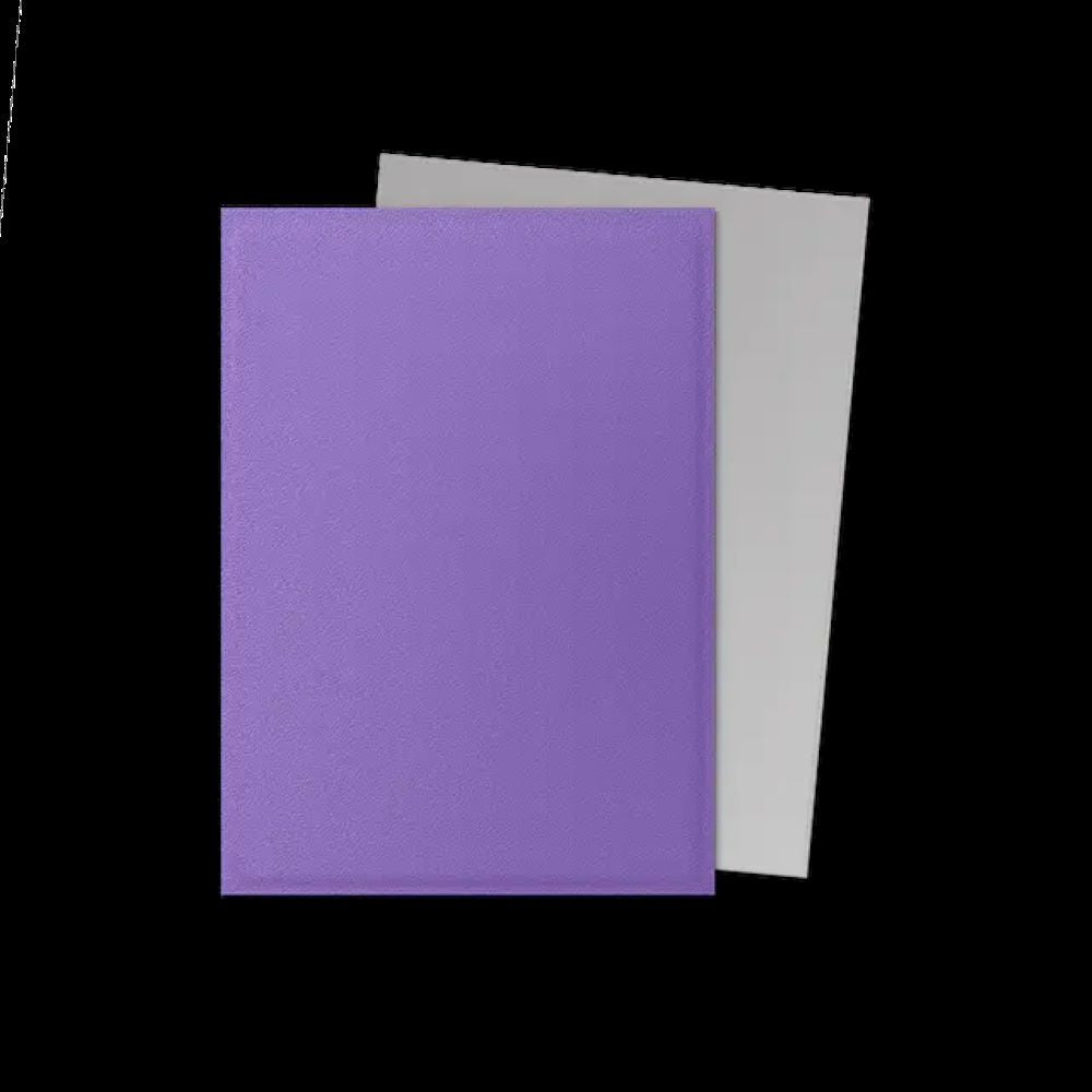 Dragon Shield 100ct Dual Matte Sleeves - Nebula & Silver