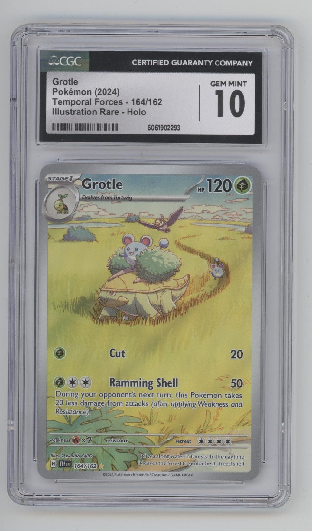 Grotle Pokemon Temporal Forces Illustration Rare Holo #164 CGC 10 Grotle Pokemon Temporal Forces Illustration Rare Holo #164 CGC 10