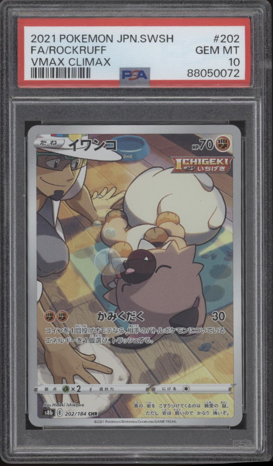 43552567-front.jpg?v=1769190021