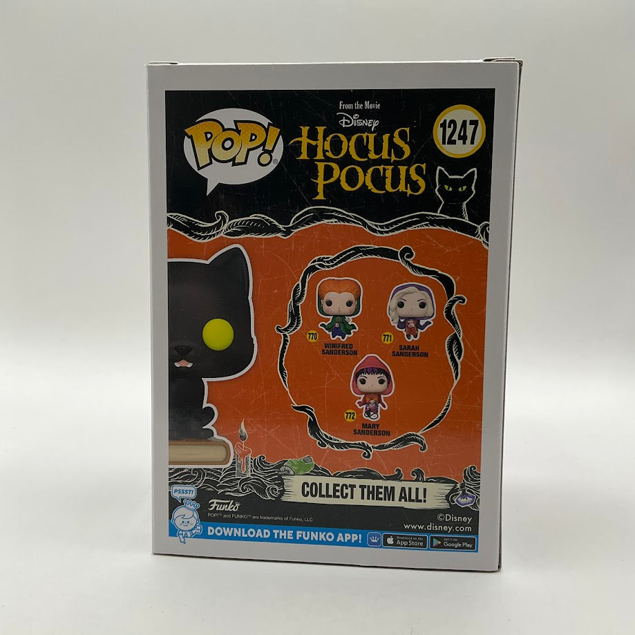 Thackery Binx Funko Pop! Hocus Pocus #1247 Funko Exclusive