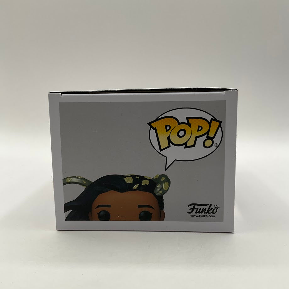 Pocahontas Funko Pop! Disney Princess #1077 Funko Exclusive