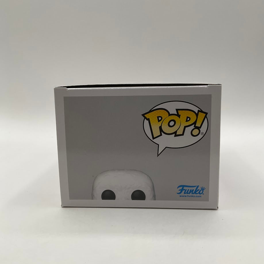 Hedwig with Letter Funko Pop! Harry Potter #160 2023 Wondrous Convention