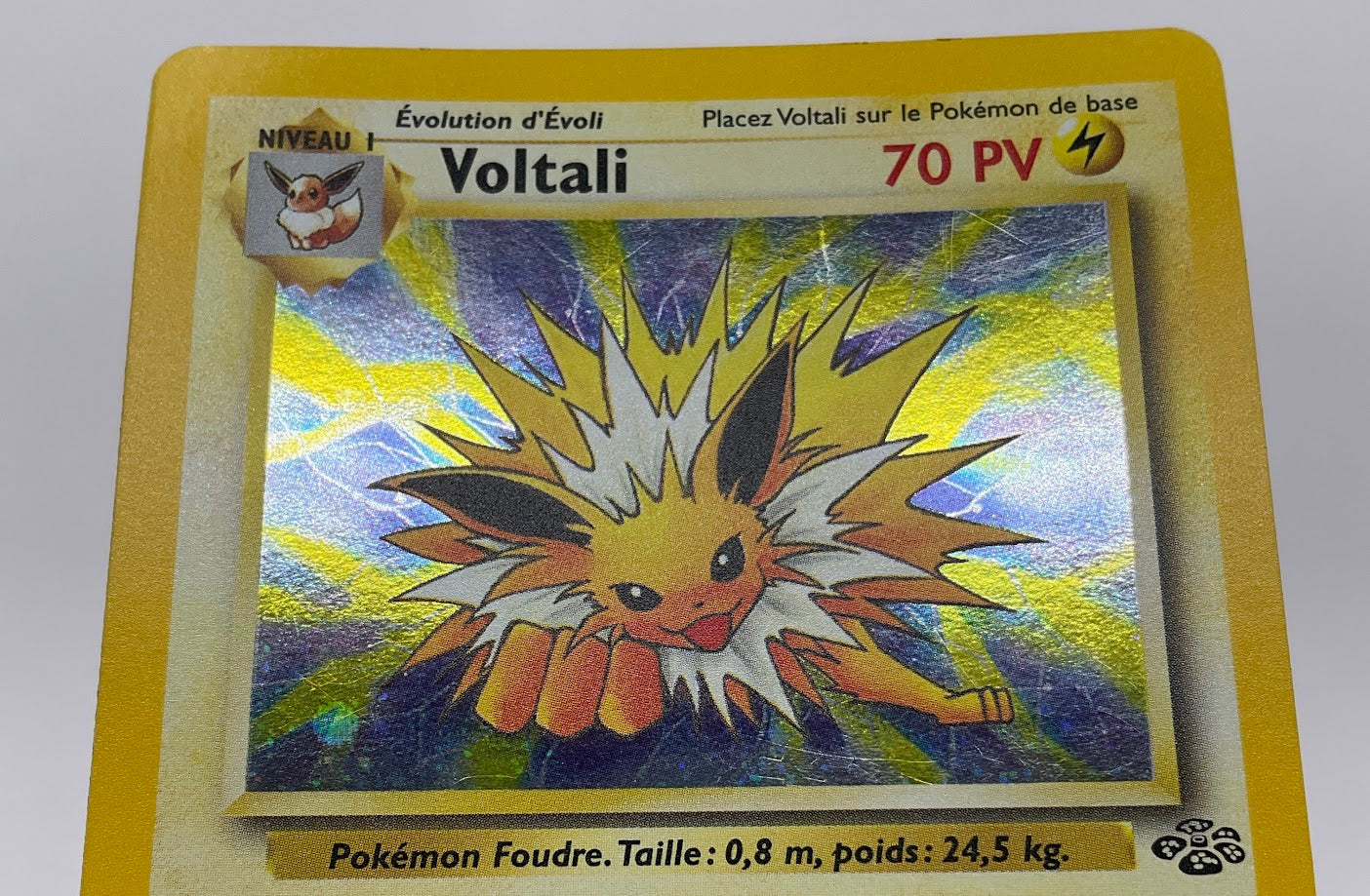Jolteon Pokemon Jungle Holo French #4
