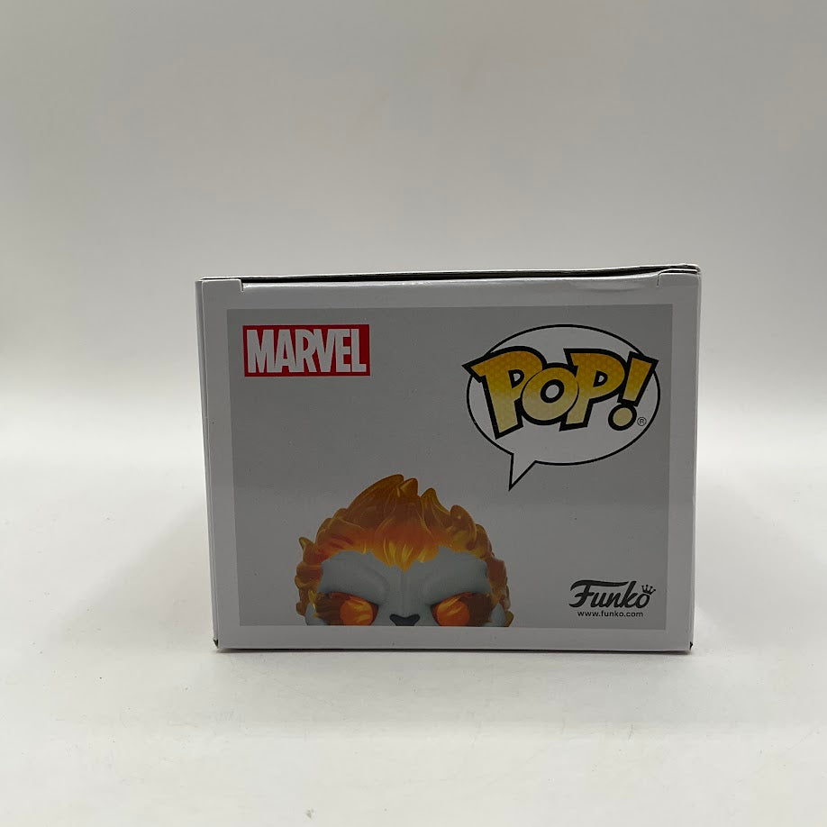Ghost Panther Funko Pop! Infinity Warps #863 GITD Funko Insider Club