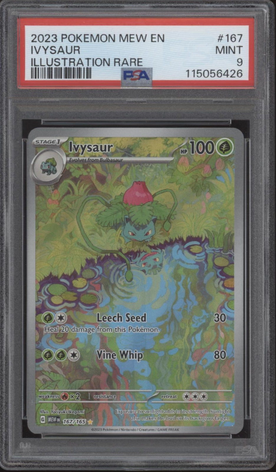 Ivysaur Pokemon 151 Illustration Rare #167 PSA 9 Ivysaur Pokemon 151 Illustration Rare #167 PSA 9