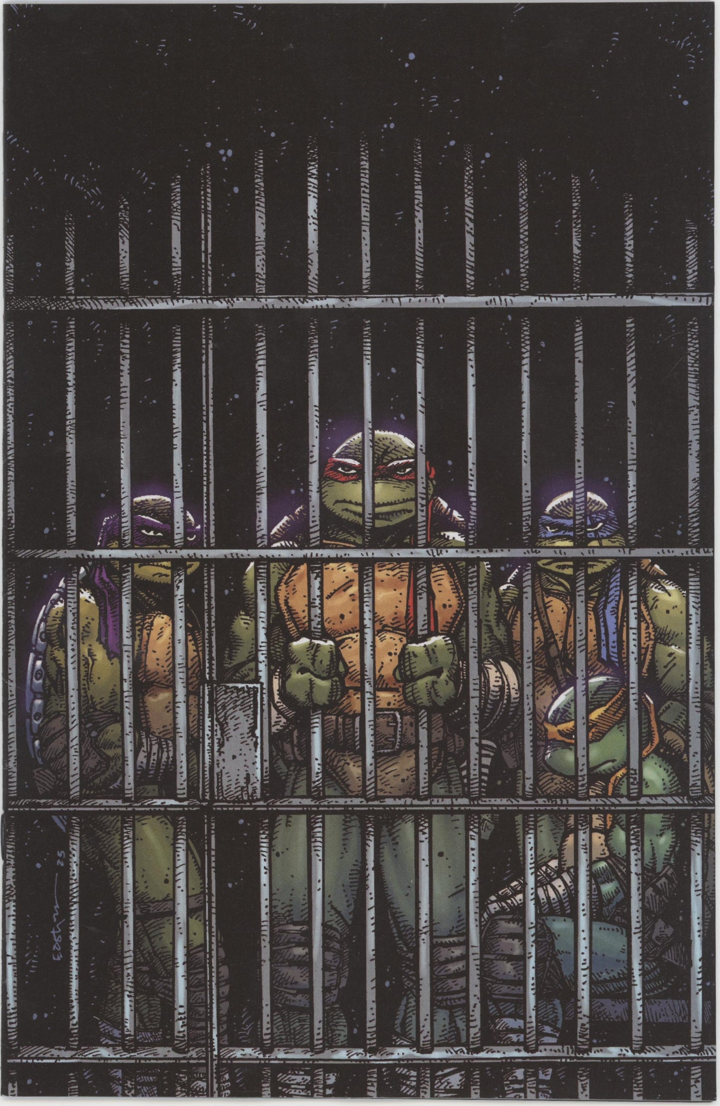 Teenage Mutant Ninja Turtles #11 Variant RI (10) (Eastman Full Art)