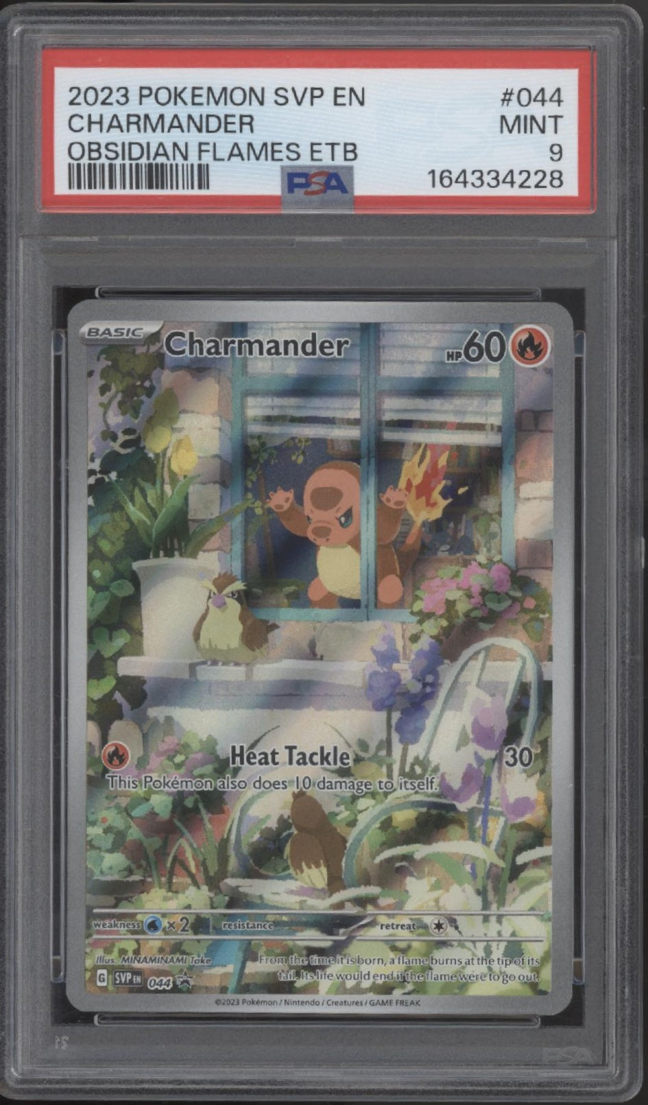 TCS-00000079-front_5f57e06e-