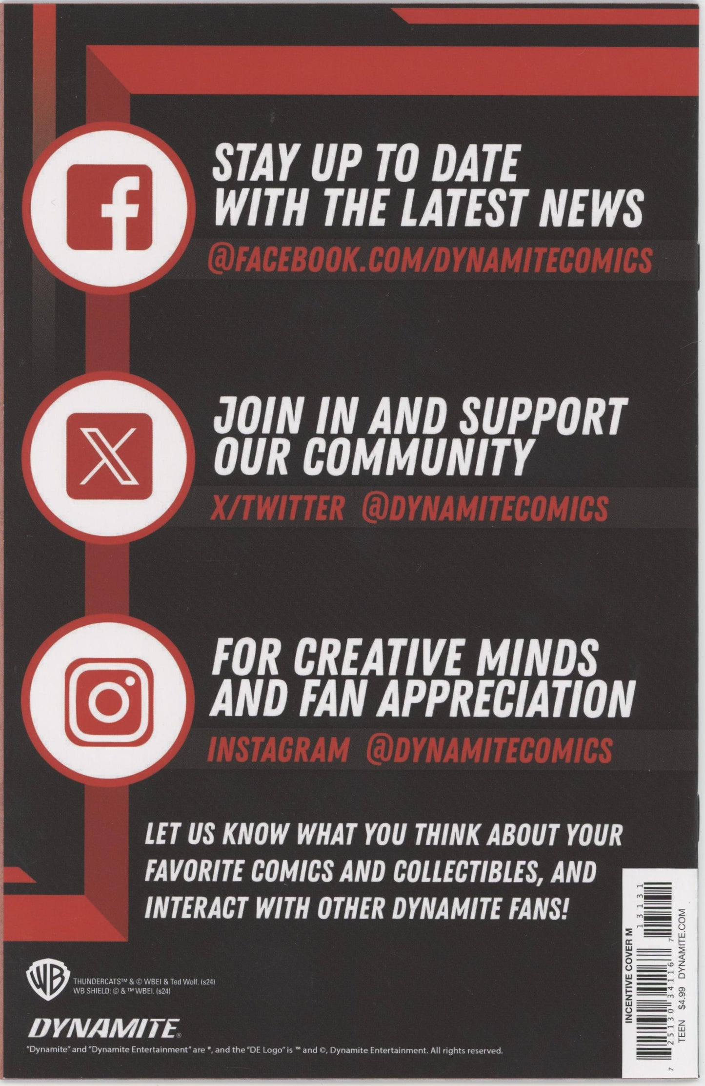 Thundercats Issue #13M 1:10 Retailer Incentive Variant