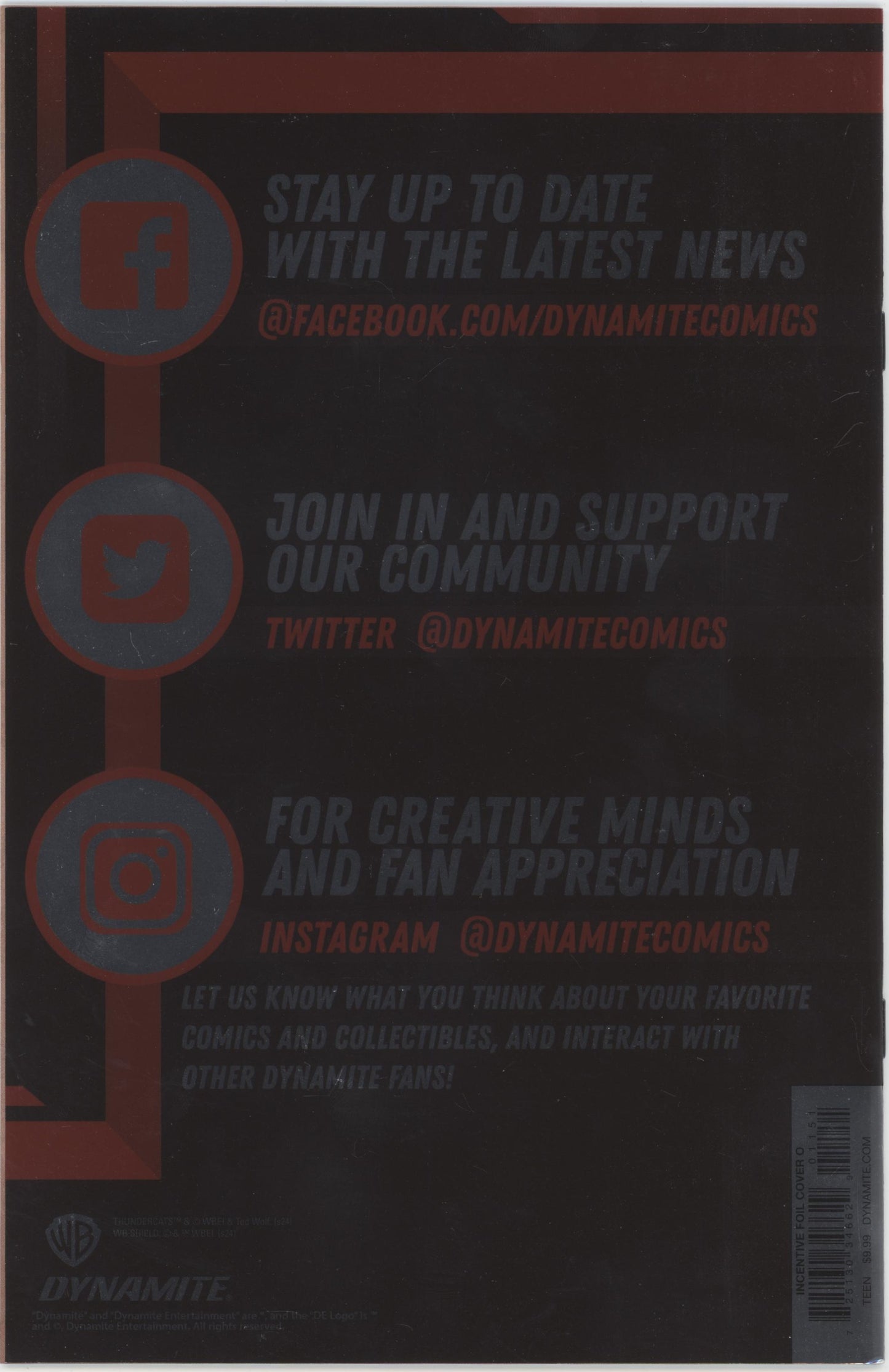 Thundercats Cheetara Issue #1O 1:15 Retailer Incentive Variant