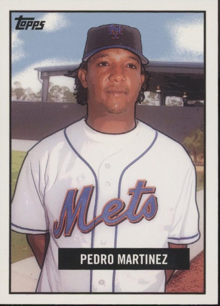 Pedro Martinez Baseball Lot of 10