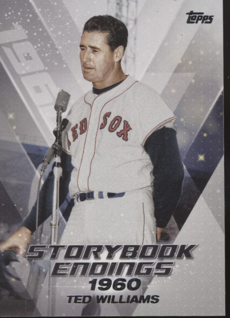 Ted Williams Baseball Lot of 10