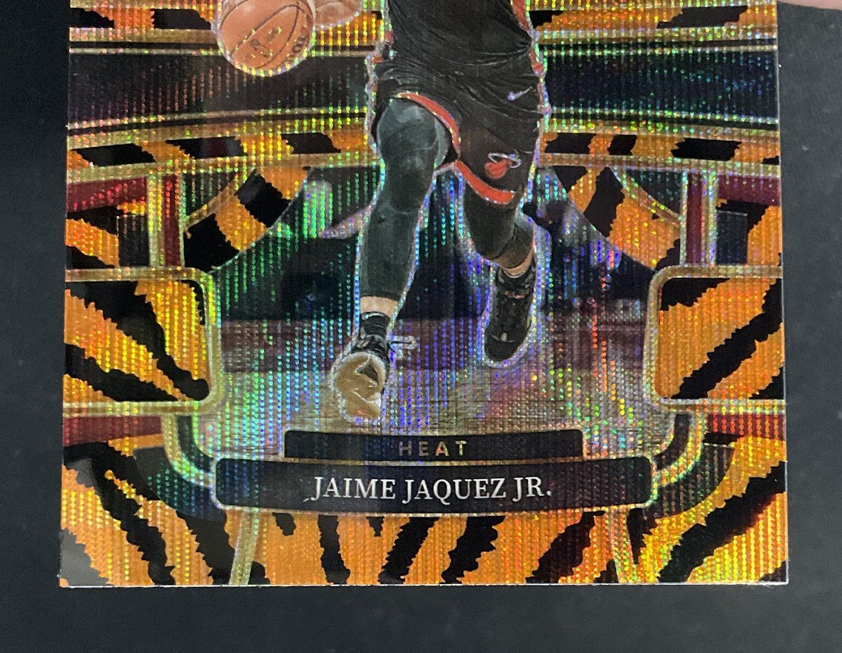 Jaime Jaquez Jr. 2023 - 24 Panini Select Tiger Prizm RC #100 - Collector Store LLC