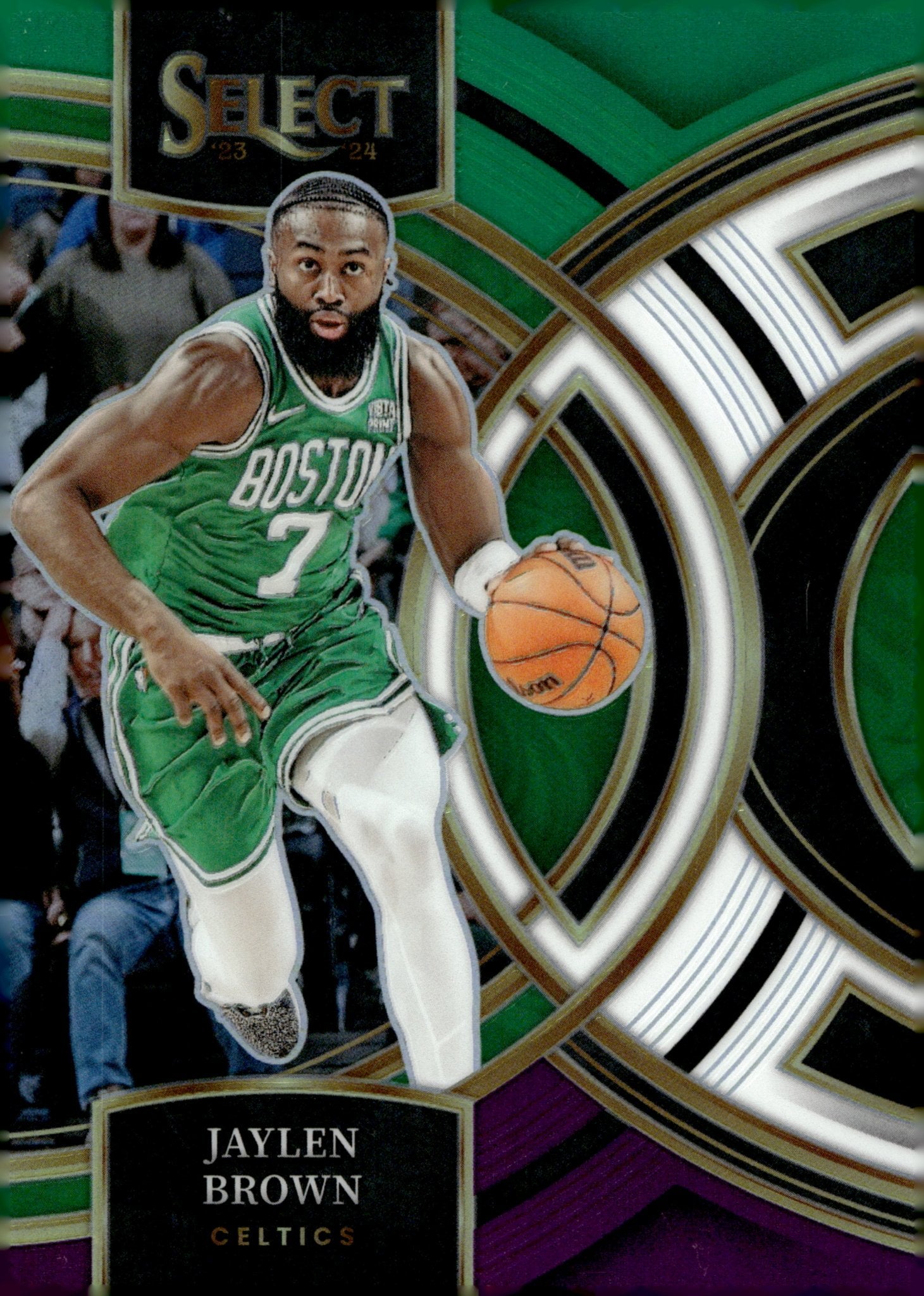 Jaylen Brown 2023 - 24 Panini Select Tri Color Prizm #179 - Collector Store LLC