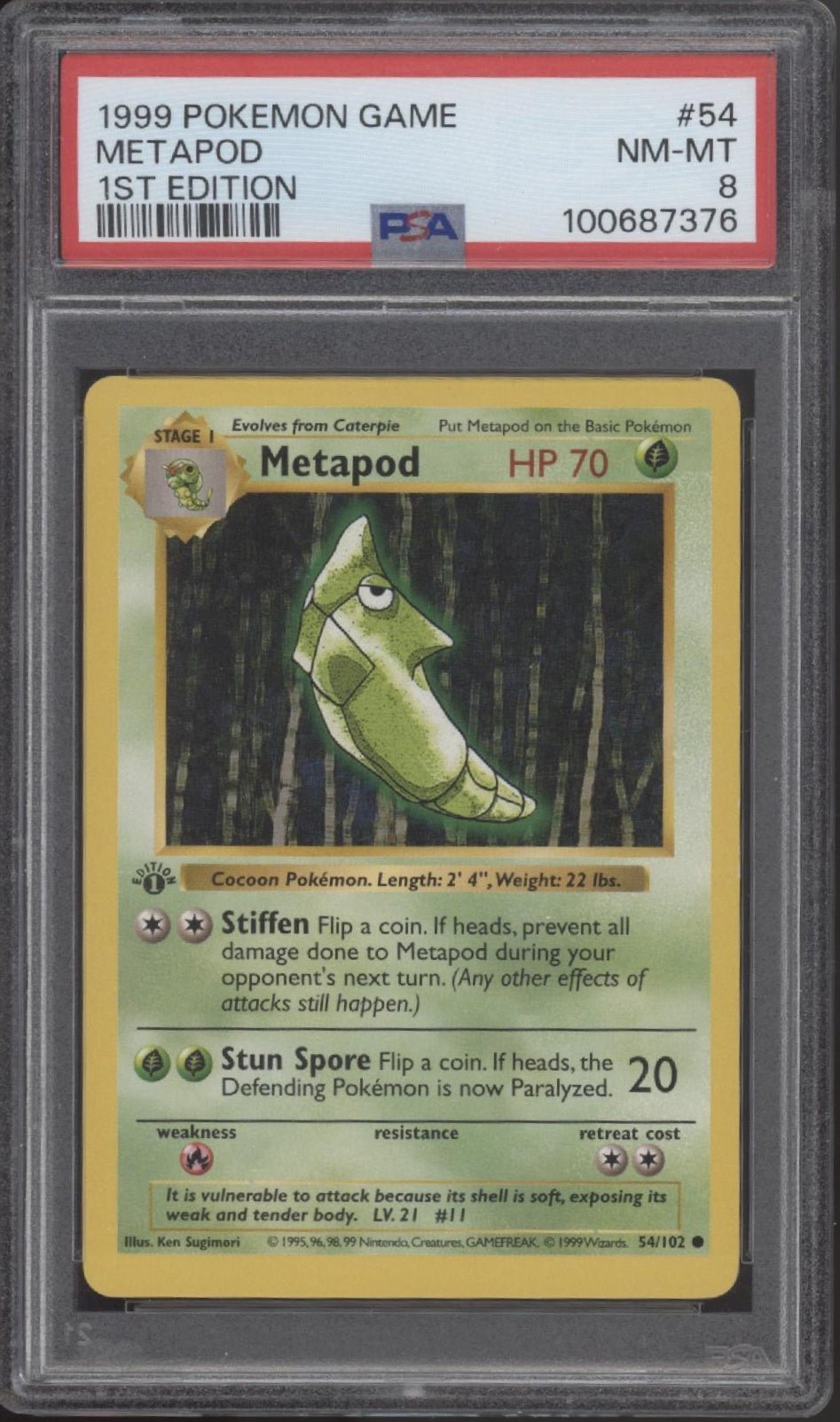 Metapod Pokemon Base Set Shadowless 1st Edition #54 PSA 8 - Collector Store LLC