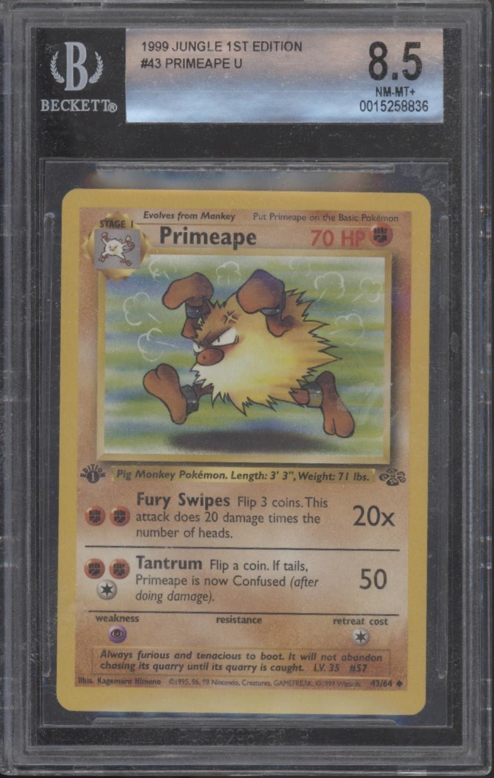 Primeape Pokemon Jungle 1st Edition #43 Beckett 8.5 - Collector Store LLC Primeape Pokemon Jungle 1st Edition #43 Beckett 8.5 - Collector Store LLC