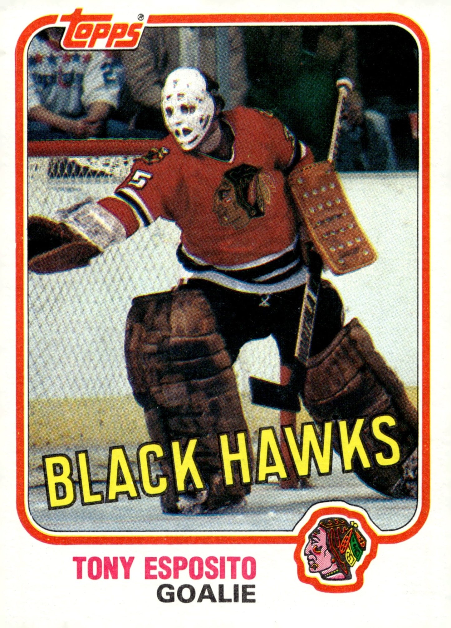 Tony Esposito 1981 - 82 Topps #11 - Collector Store LLC