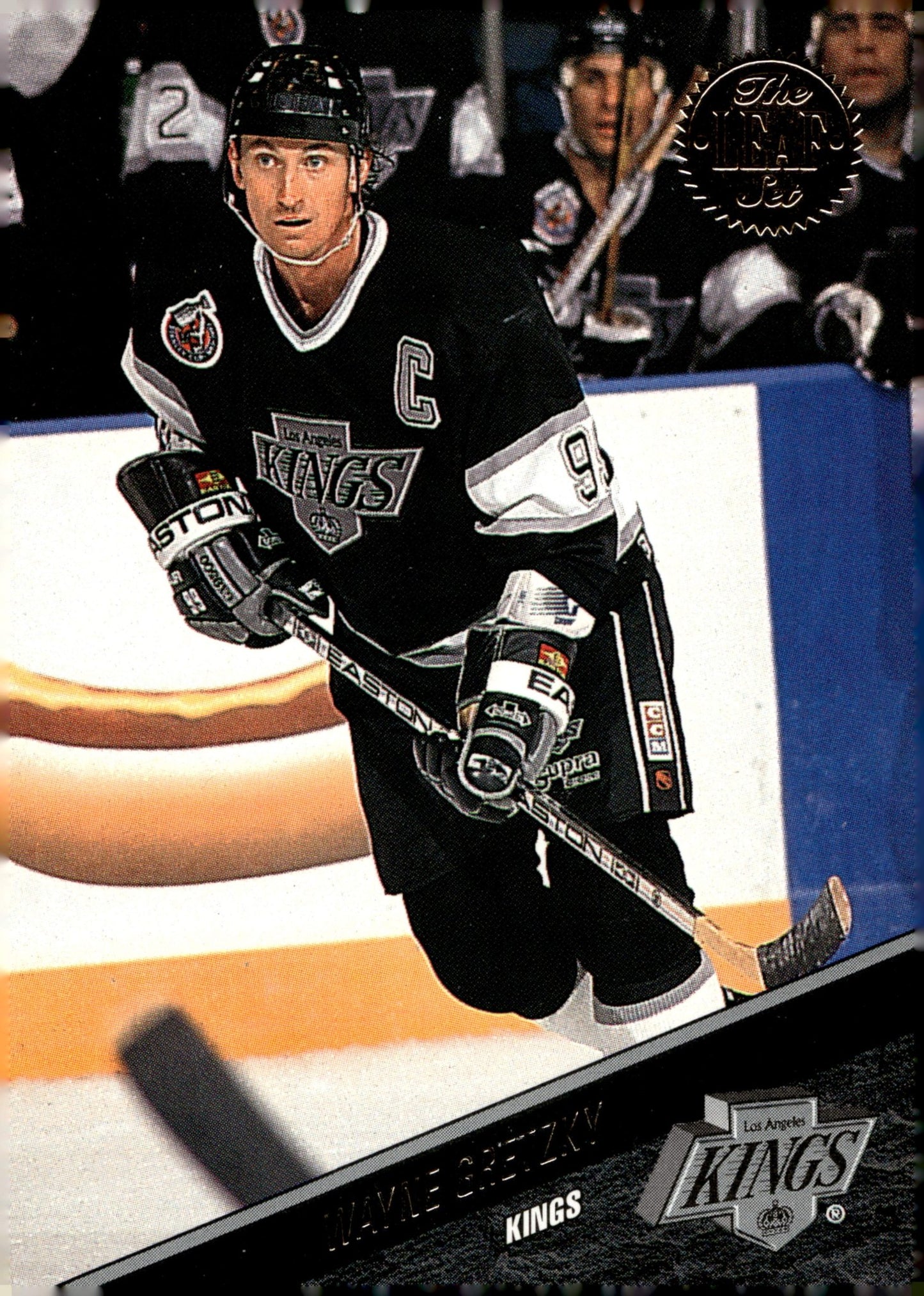 Wayne Gretzky 1993 - 94 Leaf Series 2 #304 - Collector Store LLC