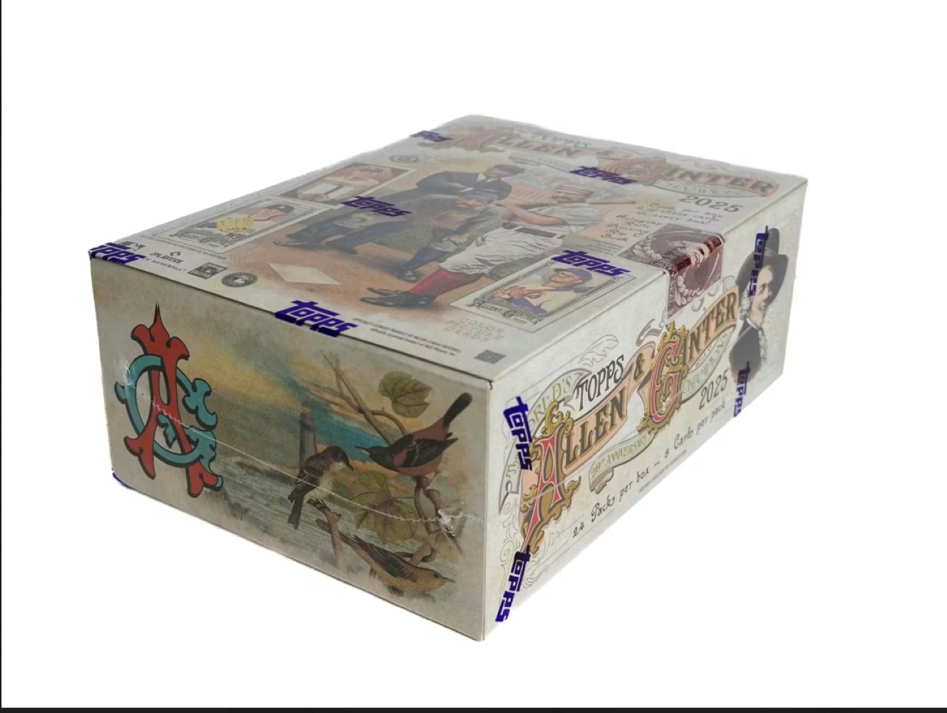 2025 Topps Allen & Ginter Baseball Hobby Box