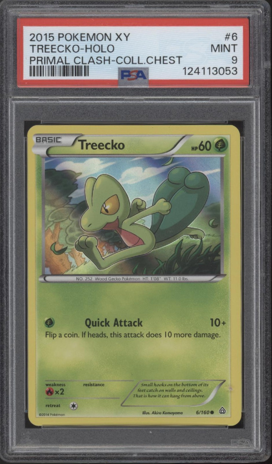 Treecko Pokemon Primal Clash Collector's Chest Tin Holo #6 PSA 9