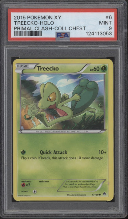 Treecko Pokemon Primal Clash Collector's Chest Tin Holo #6 PSA 9
