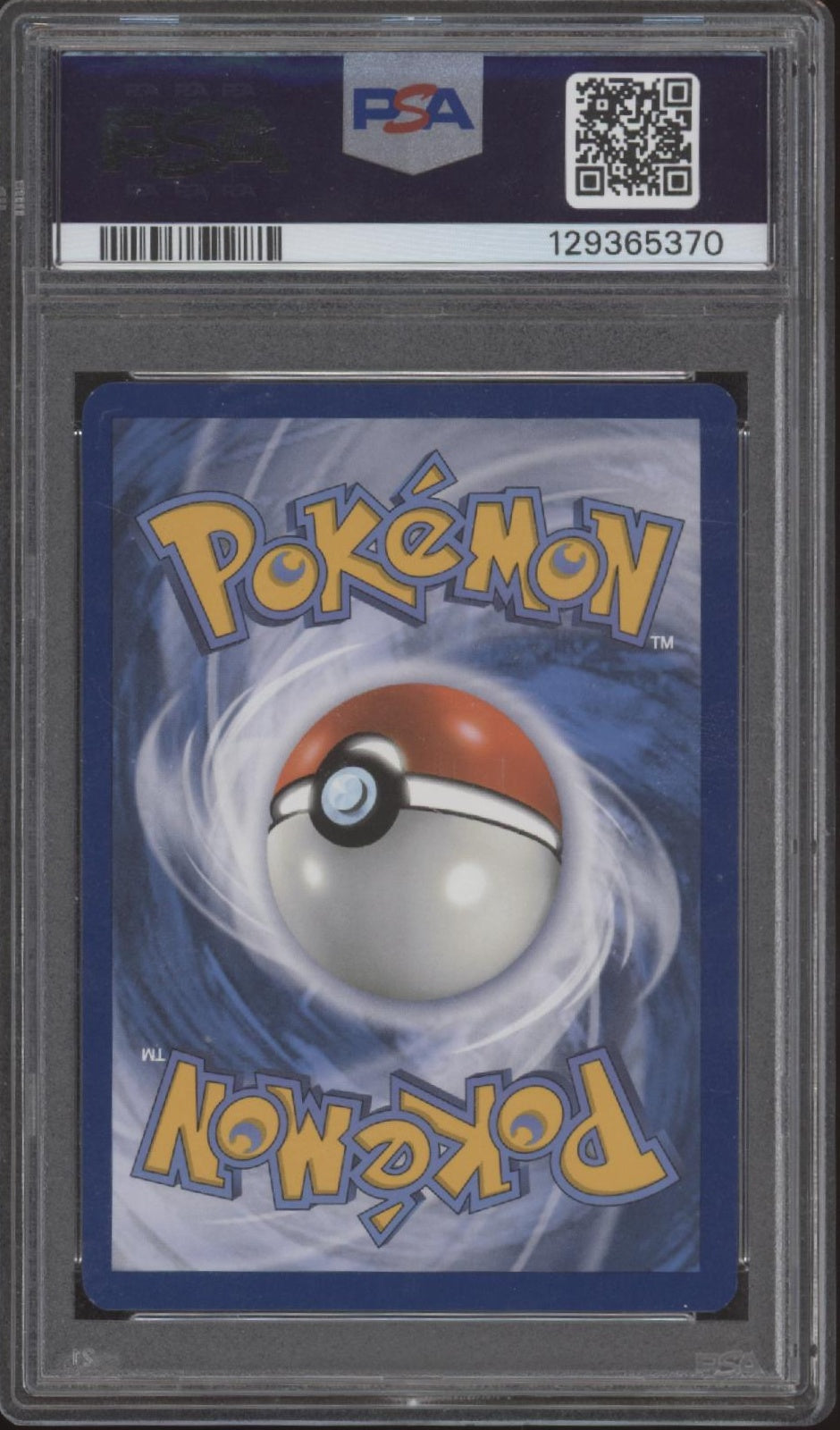 Terapagos ex Pokemon Stellar Crown Special Illustration Rare #170 PSA 8