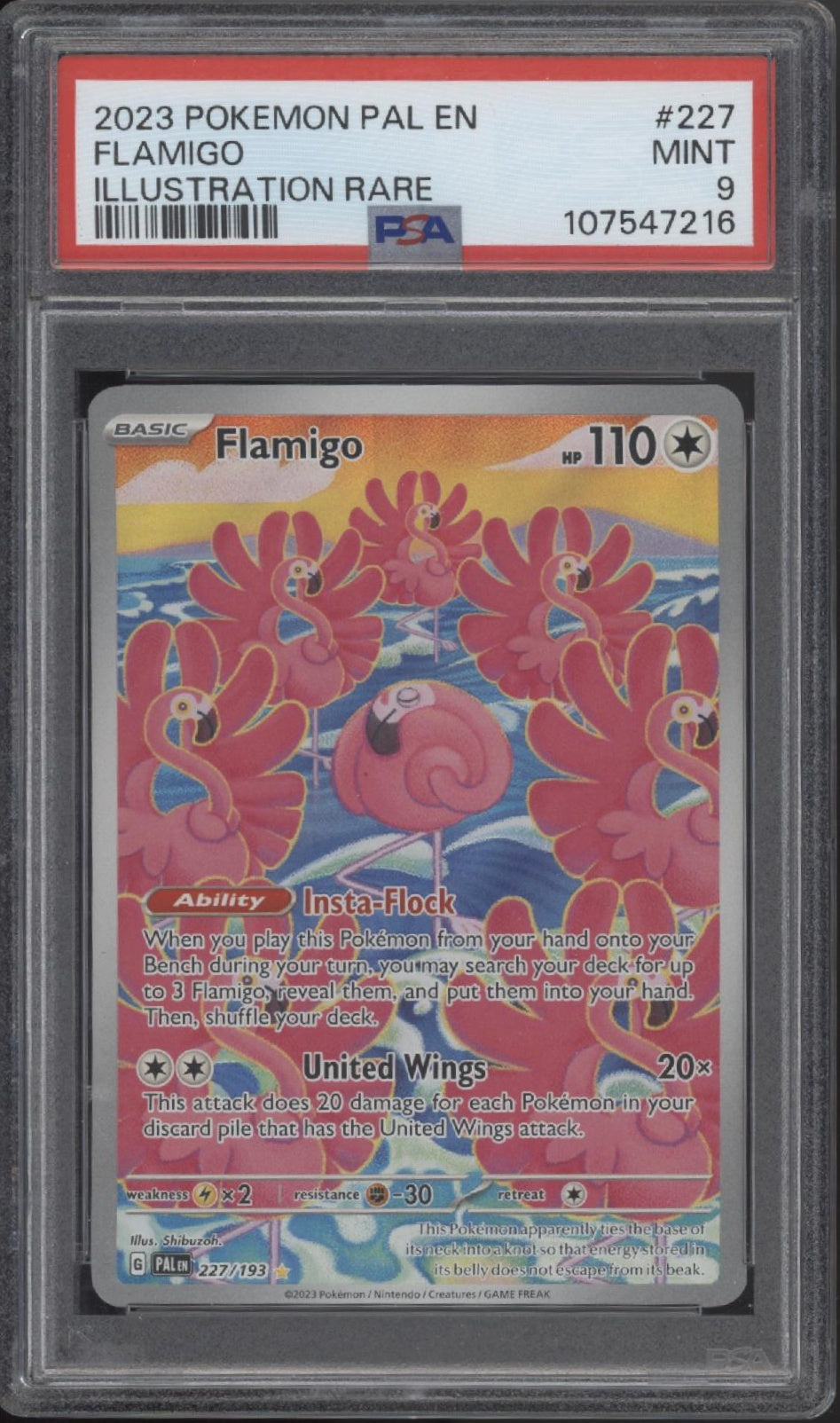 Flamigo Pokemon Paldea Evolved Illustration Rare #227 PSA 9