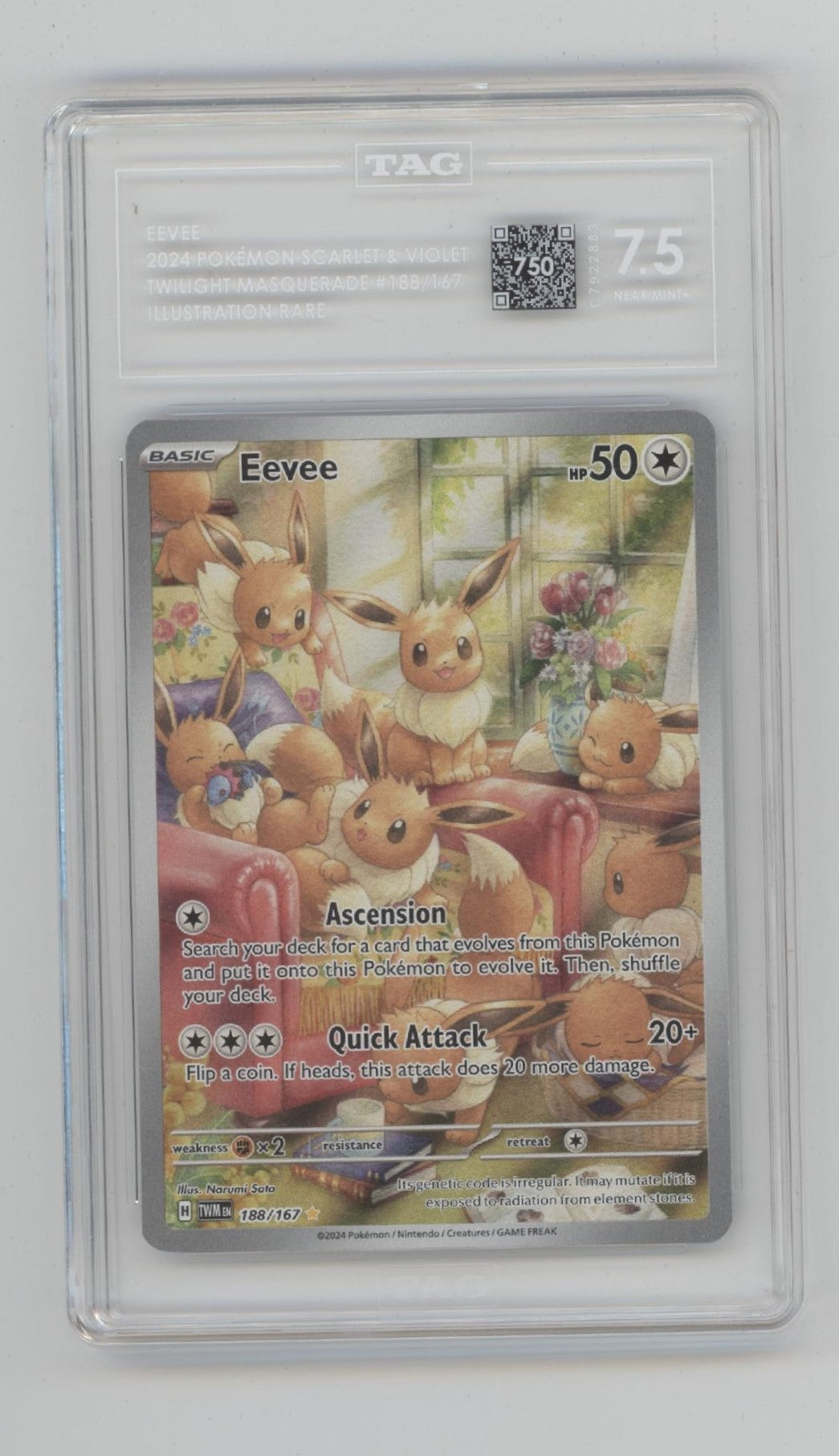 Eevee Pokemon Twilight Masquerade Illustration Rare #188 TAG 7.5