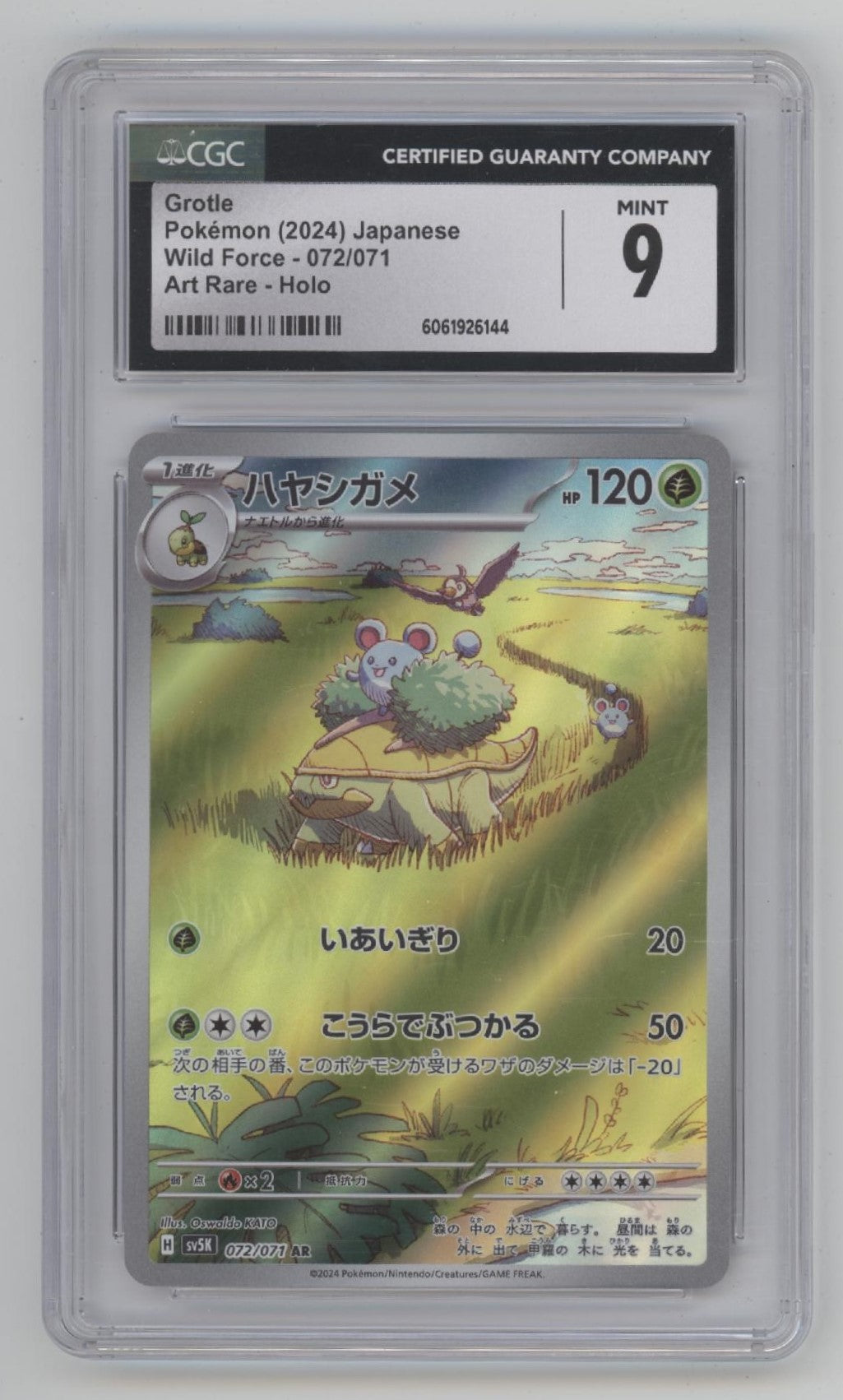 Grotle Pokemon Wild Forces Art Rare Holo Japanese #072 CGC 9