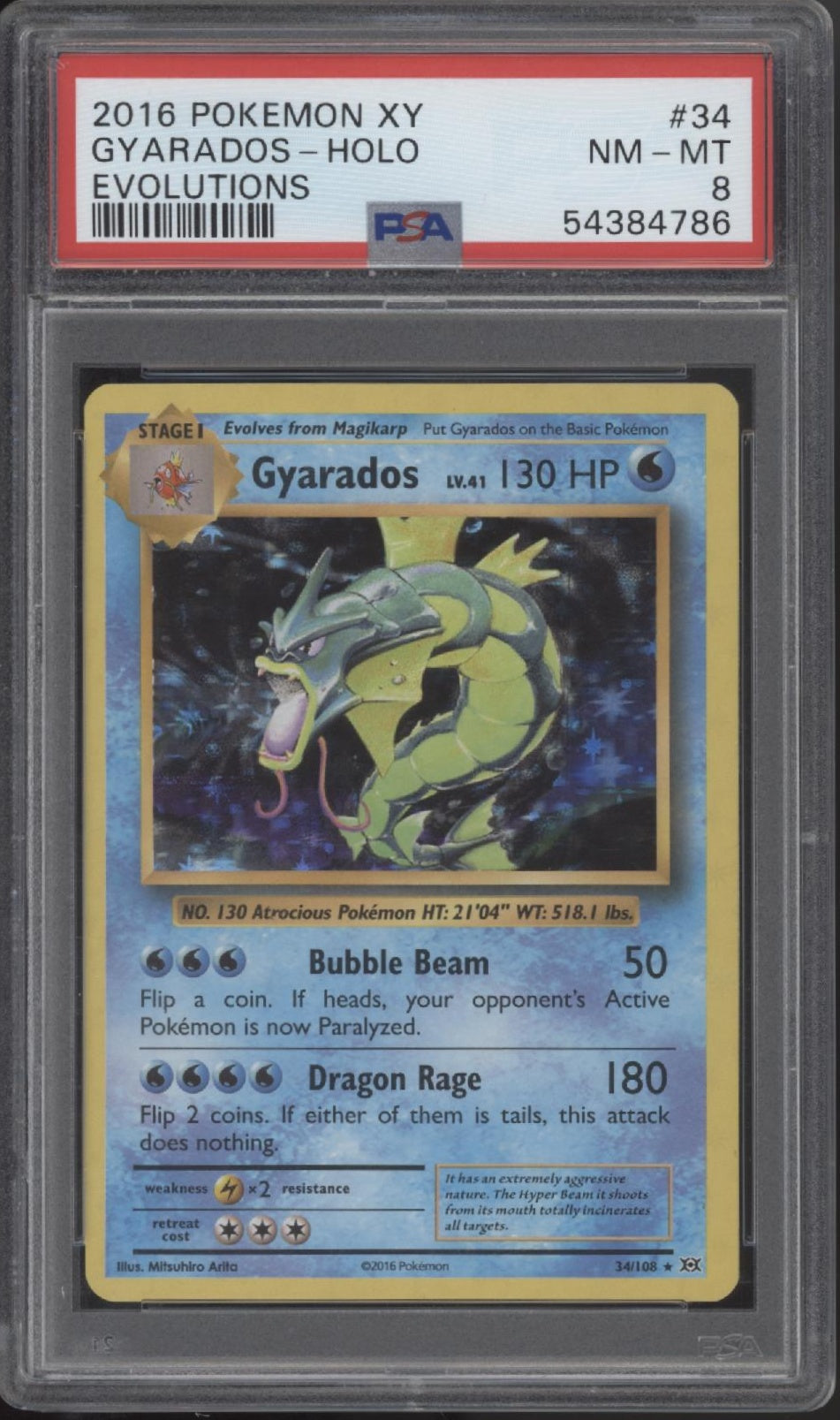 Gyarados Pokemon XY Evolutions Holo #34 PSA 8