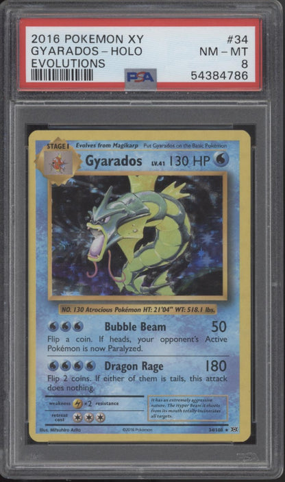 Gyarados Pokemon XY Evolutions Holo #34 PSA 8