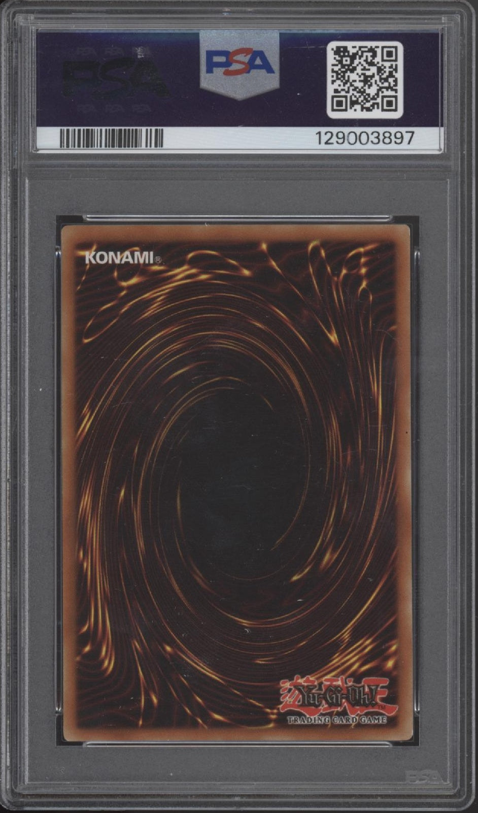 Red-Eyes Black Dragon Yu-Gi-Oh! BPT Collector's Tin Promo #005 PSA 6