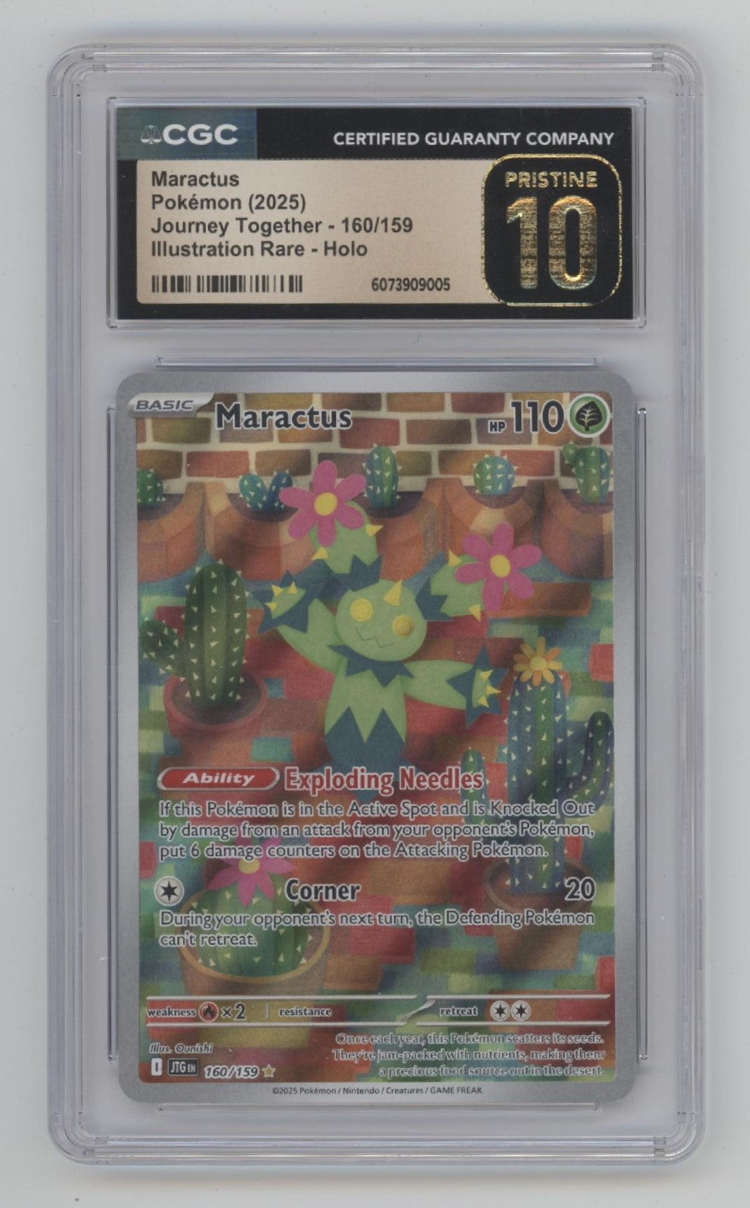 Maractus Pokemon Journey Together Illustration Rare Holo #160 CGC 10 Pristine
