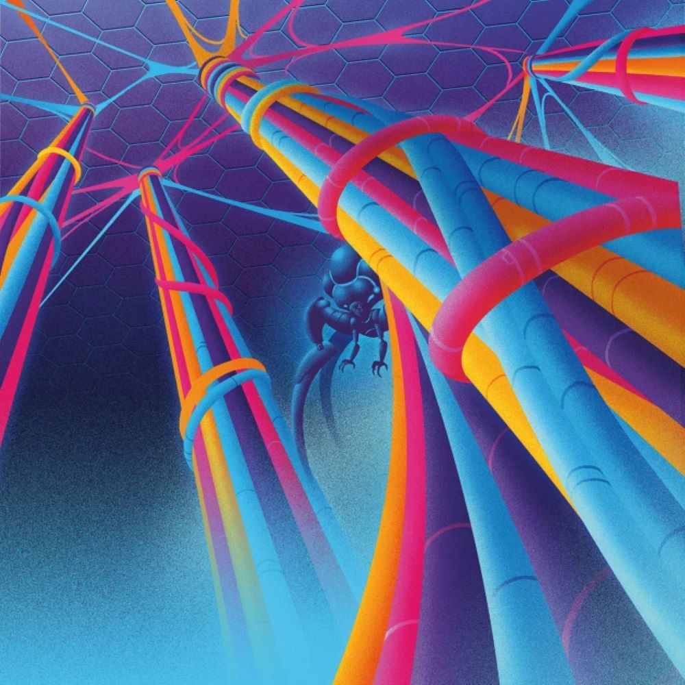 Magic the Gathering: Mycosynthwave Secret Lair Drop Series