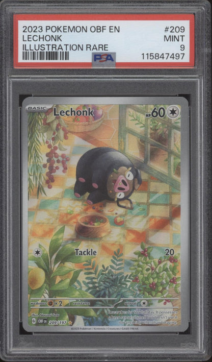 Lechonk Pokemon Obsidian Flames Illustration Rare #209 PSA 9