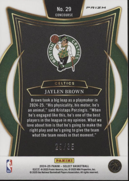 Jaylen Brown 2024-25 Panini Select White Scope Prizm 29/35 #29