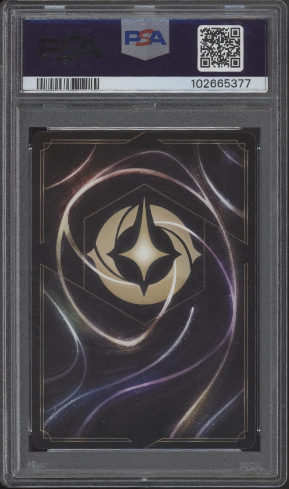 43552548-back.jpg?v=1769189969