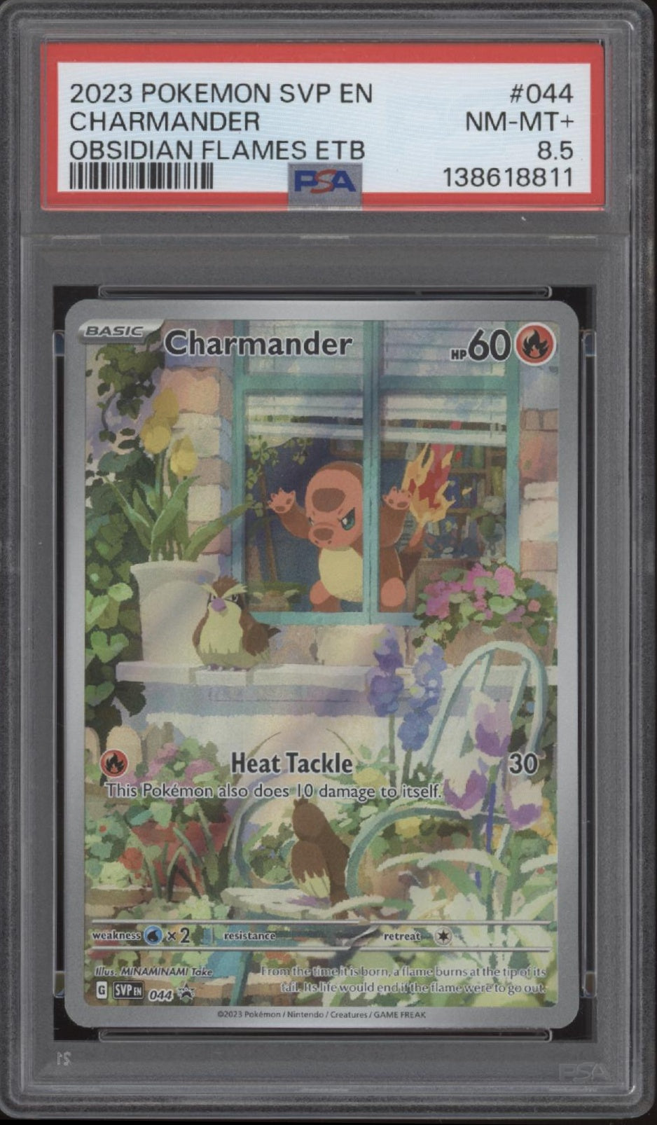 Charmander Pokemon Obsidian Flames Elite Trainer Box #044 PSA 8.5