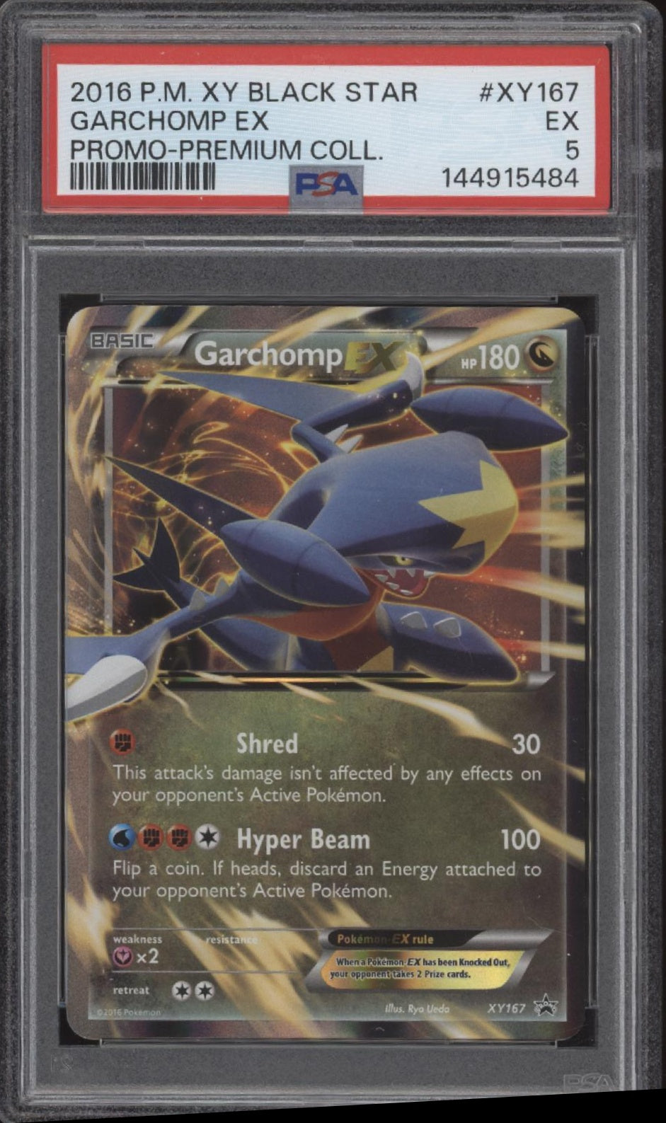 Garchomp ex Pokemon XY Premium Collection Black Star Promo #XY167 PSA 5