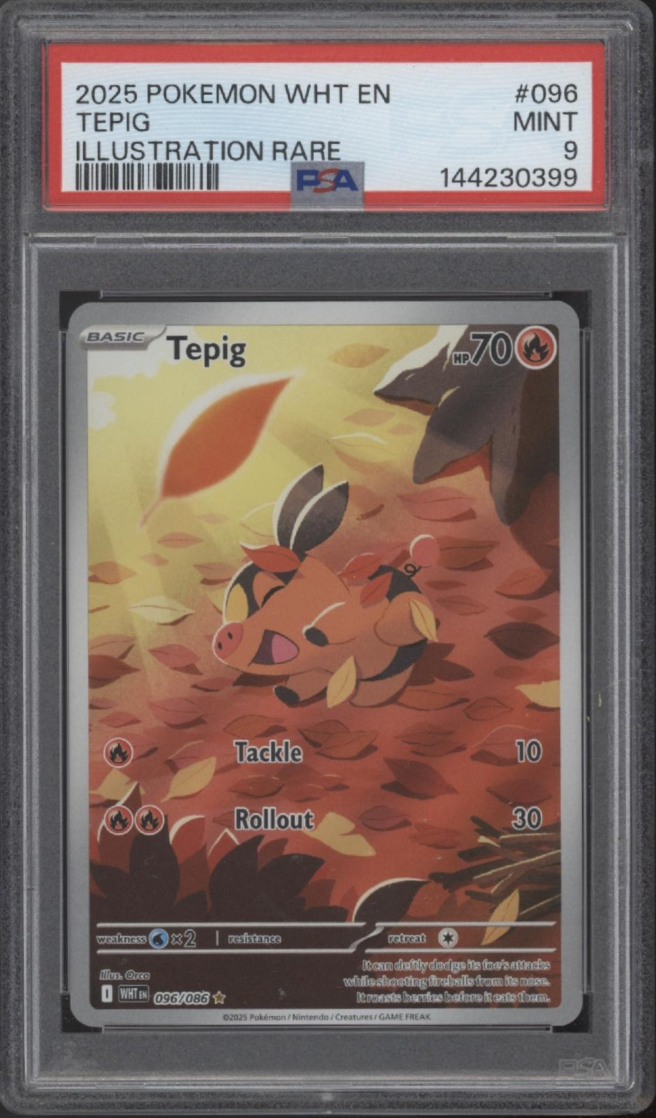 Tepig Pokemon White Flare Illustration Rare #096 PSA 9