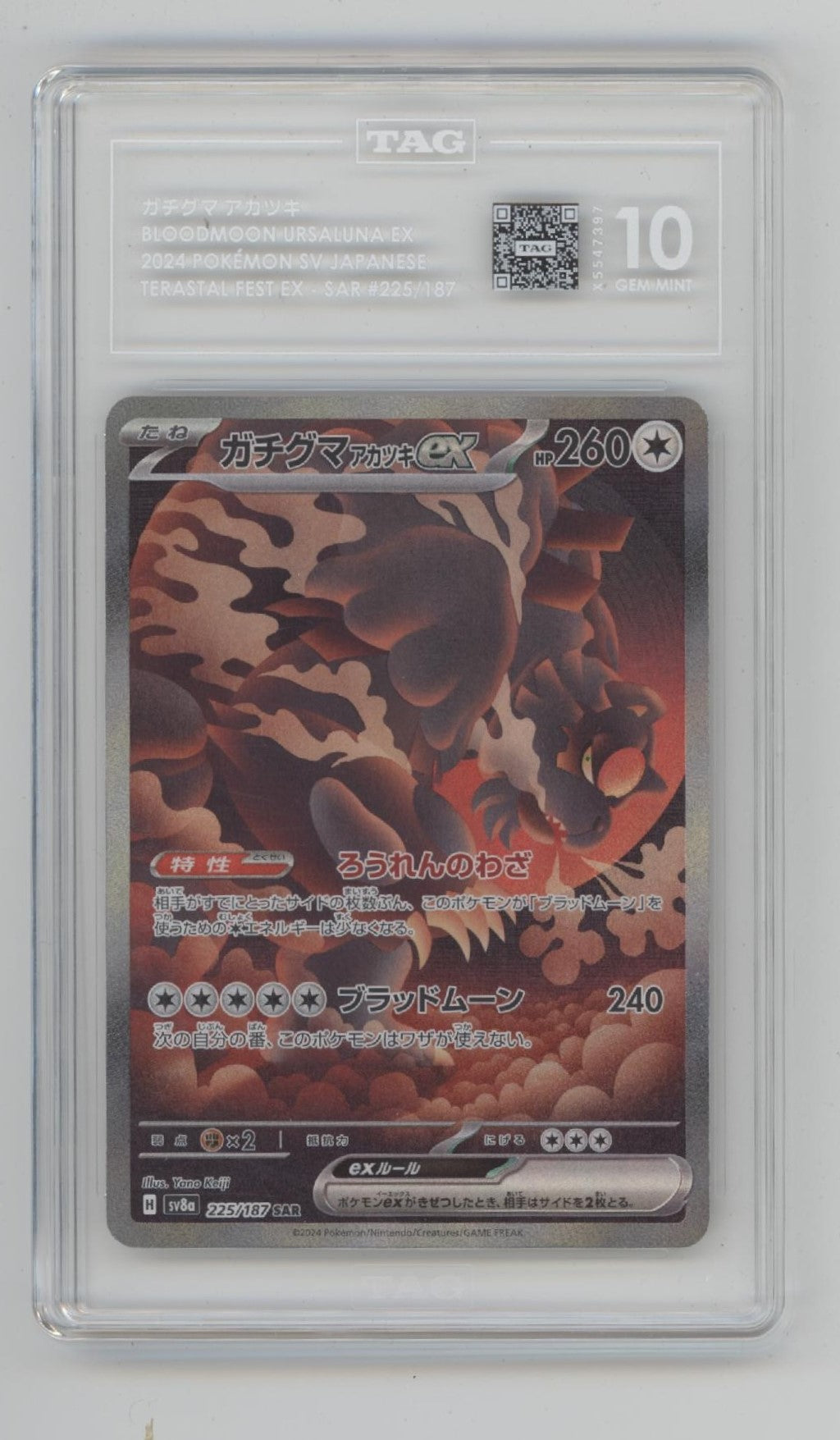 Bloodmoon Ursaluna ex Pokemon Terastal Fest ex Japanese #225 TAG 10