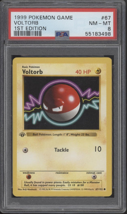 Voltorb Pokemon Base Set 1st Edition #67 PSA 8