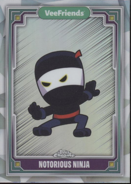 Notorious Ninja 2025 Topps Chrome VeeFriends #24