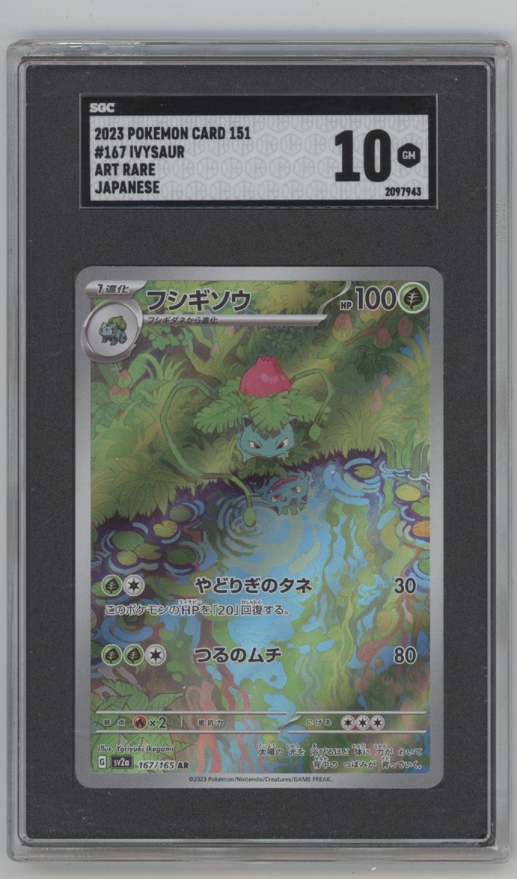 Ivysaur Pokemon 151 Art Rare Japanese #167 SGC 10
