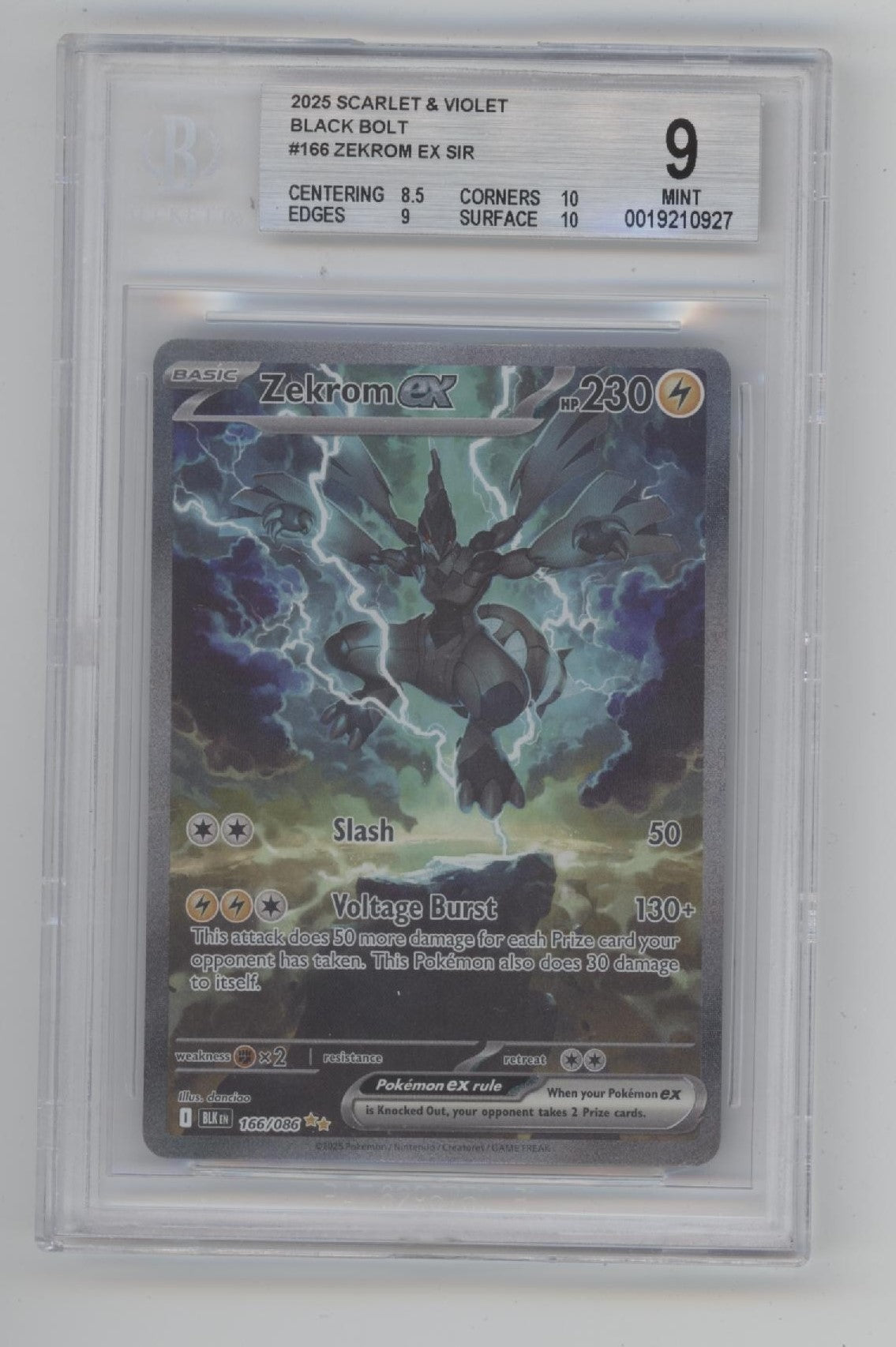 Zekrom ex Pokemon Black Bolt #166 Beckett 9、Collector Store LLC Gaming、kayou