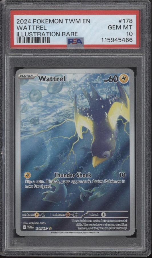 Wattrel Pokemon Twilight Masquerade Illustration Rare #178 PSA 10